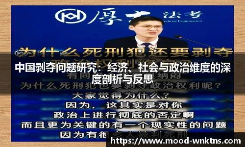 中国剥夺问题研究：经济、社会与政治维度的深度剖析与反思